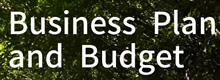 Business Plan & Budget